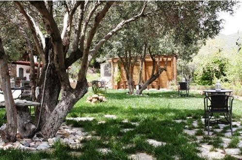 Naiades Villas Karystos  Luaran gambar