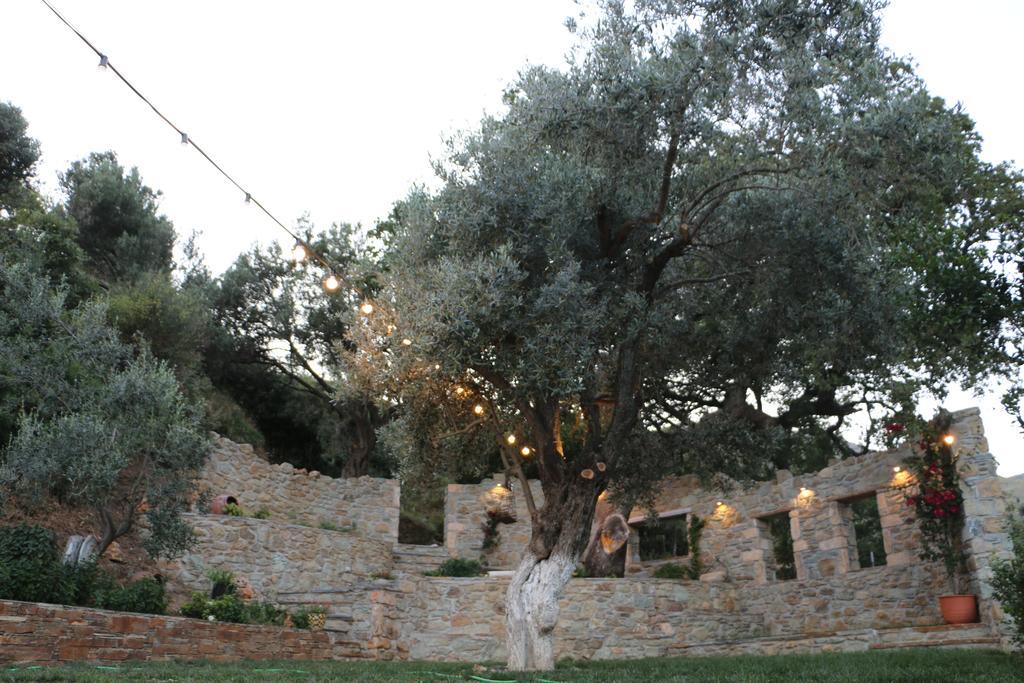 Naiades Villas Karystos  Luaran gambar
