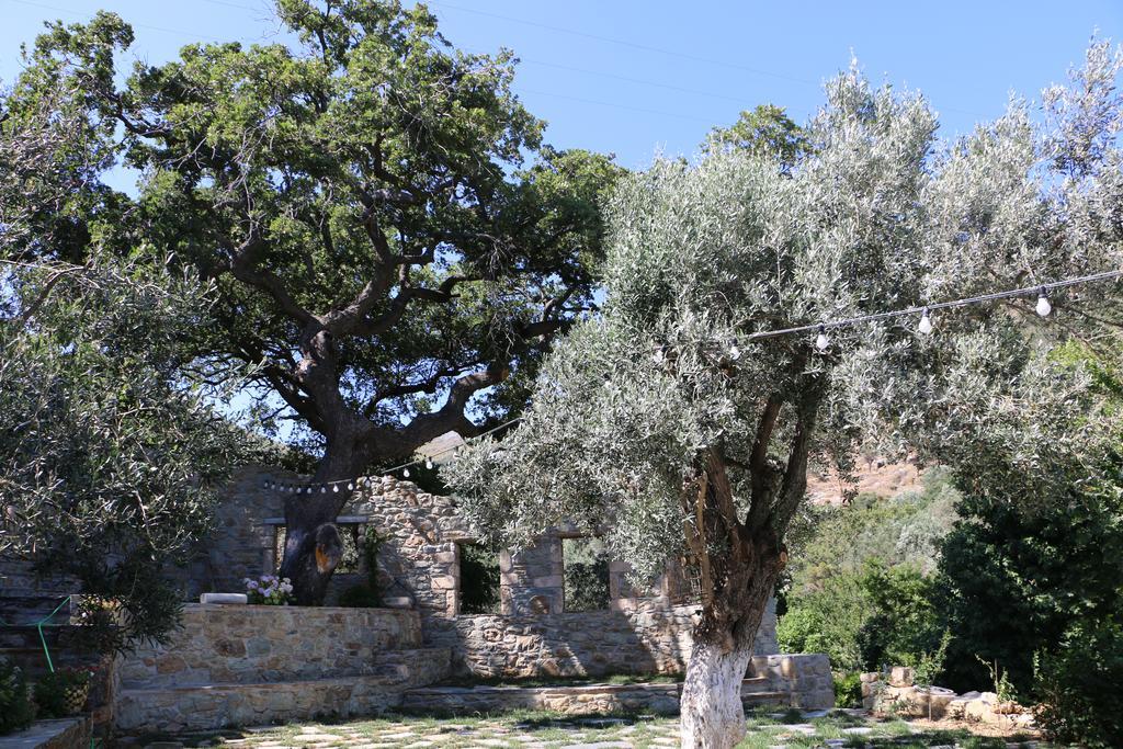 Naiades Villas Karystos  Luaran gambar