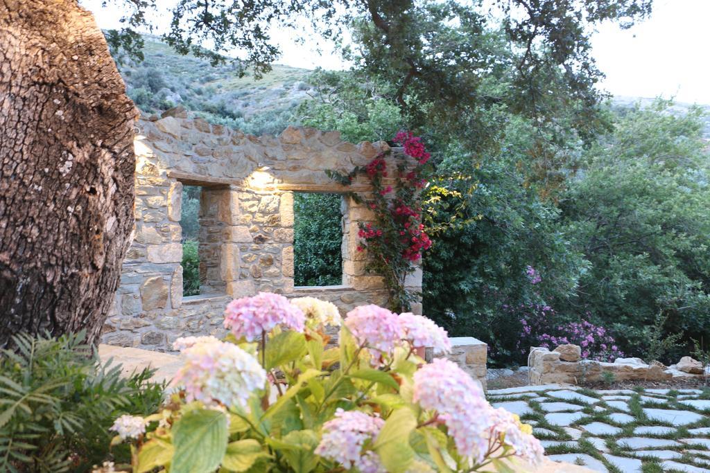 Naiades Villas Karystos  Luaran gambar